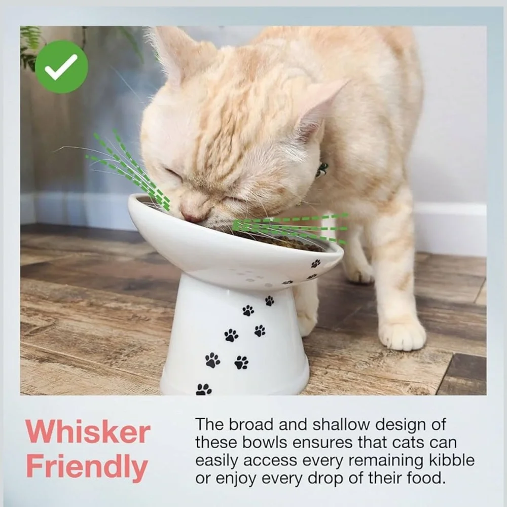 Necoichi Raised Ceramic Cat Bowl Extra Wide Tilted